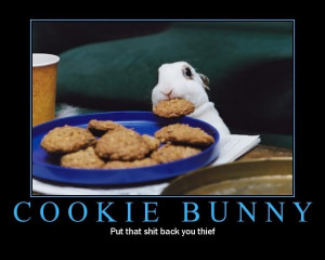 Cookie Bunny Images