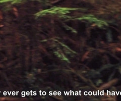 αℓicє's.♥ Follow over 2 years ago