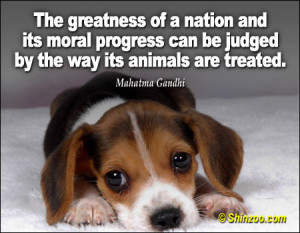 Gandhi Quotes Animals Mahatma-gandhi-quotes-sayings-