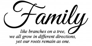 Family Like Branches on a Tree Vinyl Wall Art Quote Decal Sticker