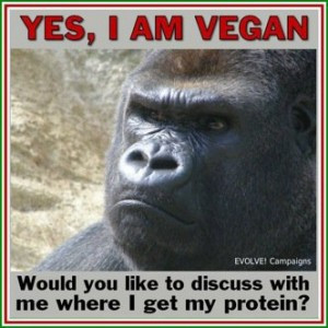 Gorilla vegan Veganer Veganismus
