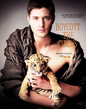 to animals in the circus let s just say based on these photos jensen ...