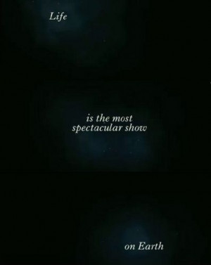 Water for Elephants'