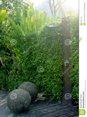 The Best Rain Shower Head