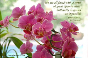 Spiritual Quote – Chuck Swindoll | Our Daily Blossom