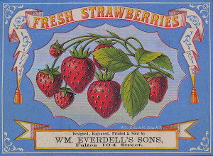 Vintage Clip Art – Strawberry Label