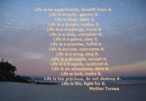 Motivational Sayings Life is an Opportunity