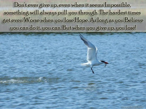 ... posted in quotes and tagged motivational quotes motivational thoughts