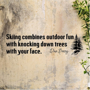 Snowboarding Quotes And Sayings Wall quote words sayings