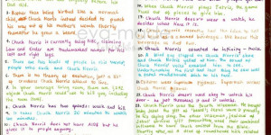 Chuck Norris Quotes Top 10