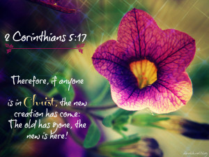 Bible Verse of the Day {9-8-13}