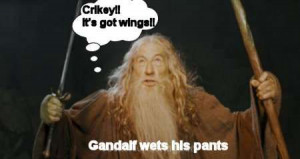 Quote Merry And Pippin From Fotr That Was Good Let Get