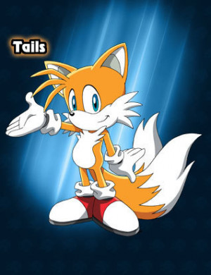 It kinda reminds me of Tails from Sonic. Are you sure that's not a fox ...