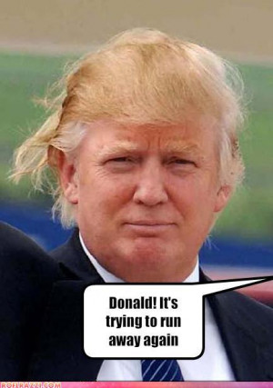 Donald Trump Funny Donald
