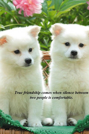 True Friendship comes when the silence between two people is ...