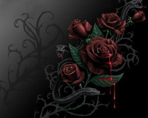 blood rose Blood and Roses Abstract Fantasy HD Wallpaper
