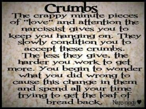 Crumbs. The crappy minute pieces of 