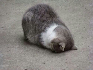 Its just one of those days