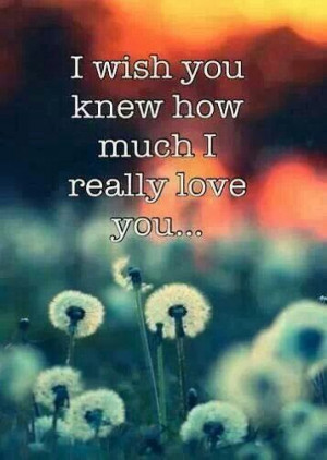 wish you knew how much I really love you...and that you felt the ...
