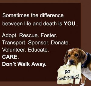 The Difference Between Life And Death Is You. Adopt. Rescue. Foster ...