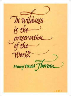 In wildness is the preservation of the world. - Henry David Thoreau