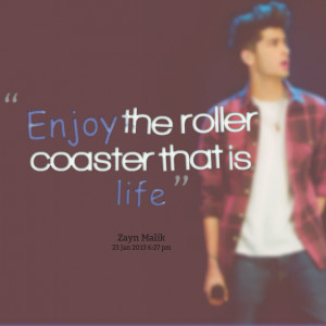 Quotes Picture: enjoy the roller coaster that is life