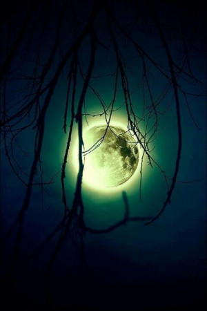 Beautiful full moon