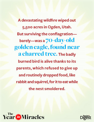 The Year in Miracles: Inspirational Quotes