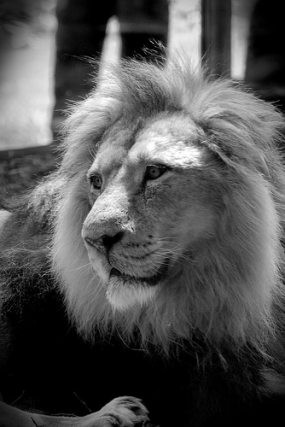 halimbawa ng tula para sa sabayang pagbigkas