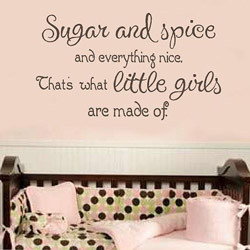 2093 SUGAR AND SPICE Girl's Wall Quote