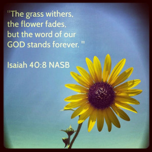 Biblical quote with flowers