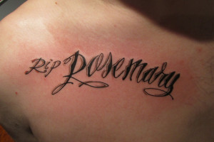 Displaying 20> Images For - The Script Quotes Tumblr...