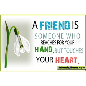 The sincere friends of this world friendship quotes