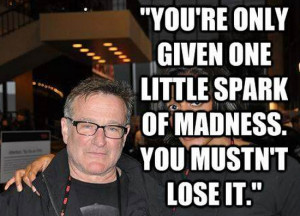 robin williams quotes part 2 quotes from robin williams robin