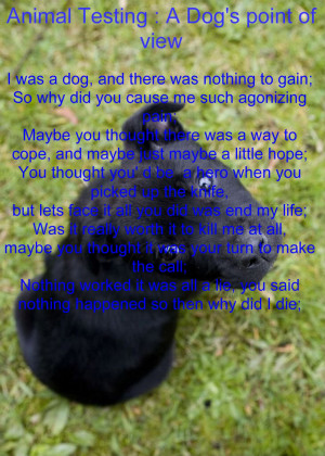 Puppy Poem Images Pictures & Graphics Page