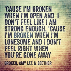 LOVE this song!! Broken ~ Seether ft Amy Lee