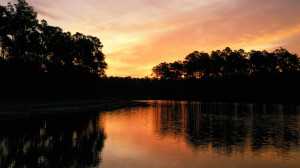 wallpaper hd widescreen 1080p-hd_beautiful_nature_landsacpe_1920rcrl ...