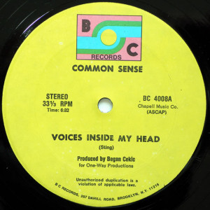 COMMON SENSE - Voices Inside My Head - Maxi x 1