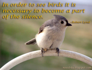 ... Birds It Is Necessary To Become A Part Of The Silence - Birds Quote