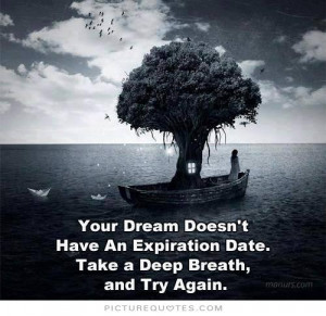 Motivational Quotes Dream Quotes Perseverance Quotes Try Quotes
