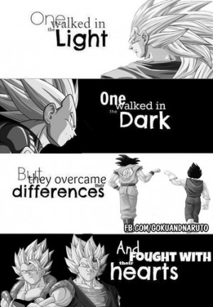 Goku and Vegeta - Dragon Ball Z Photo (38073029) - Fanpop