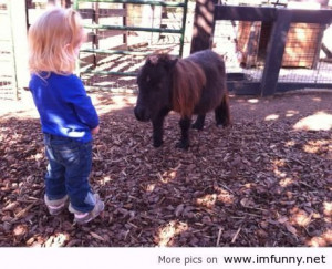Little girl meeting a duck-sized horse / Funny Pictures, Funny Quotes ...