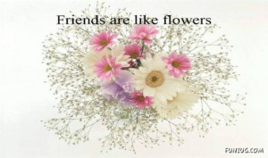 Friends Are Like Flowers