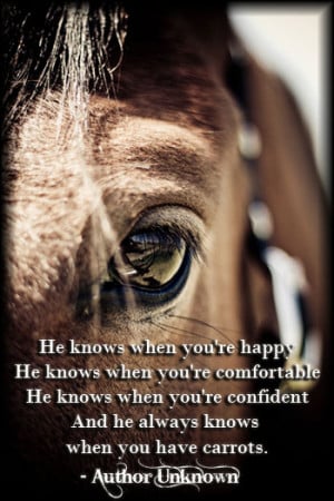 Cowgirl and Her Horse Quotes