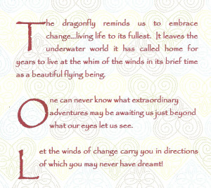 Quote - unknown author