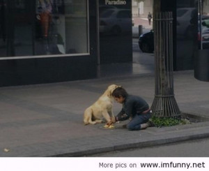Homeless boy share his food with the dog | Funny Pictures, Funny ...