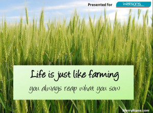 Life Is Just Like Farming – you will always reap what you sow