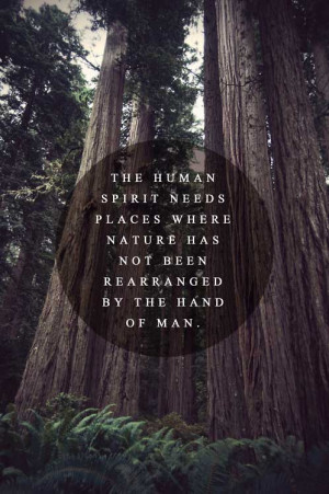 ... needs places where nature has not been rearranged by the hand of man