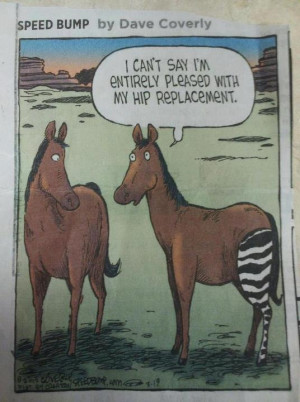 Hip Replacement Funny #2 Hip Replacement Funny #3 Hip Replacement ...