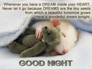 ... beautiful tomorrow grows Have a wonderful dream to night. Good Night